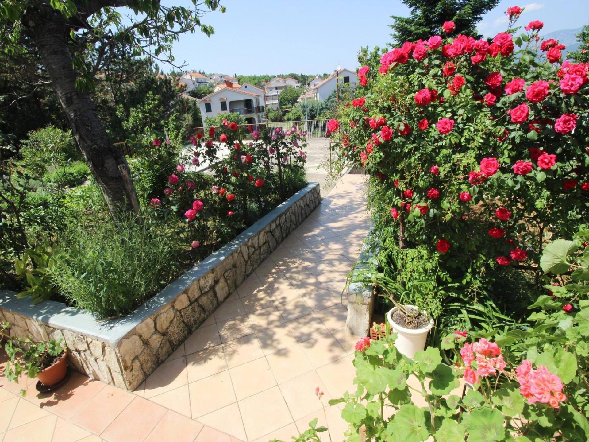 Apartments Dragica Šilo Dış mekan fotoğraf