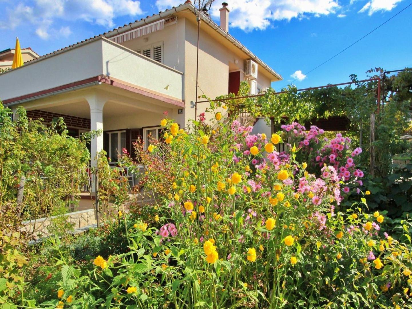 Apartments Dragica Šilo Dış mekan fotoğraf